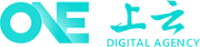 大新县软件开发公司